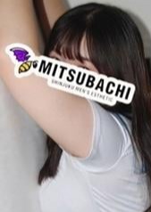 MITSUBACHI さくら