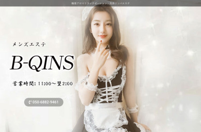 B-QINS オフィシャルサイト