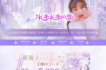 ドキドキの恋 オフィシャルサイト